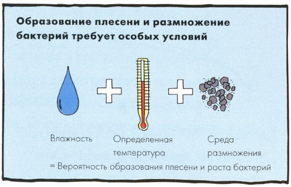 Комфортная влажность воздуха в помещении для человека. Относительная, абсолютная, как определить и улучшить