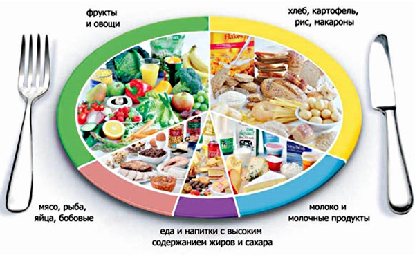 Андростендион повышен у женщин. Что это, норма, за что отвечает, когда сдавать, причины отклонения