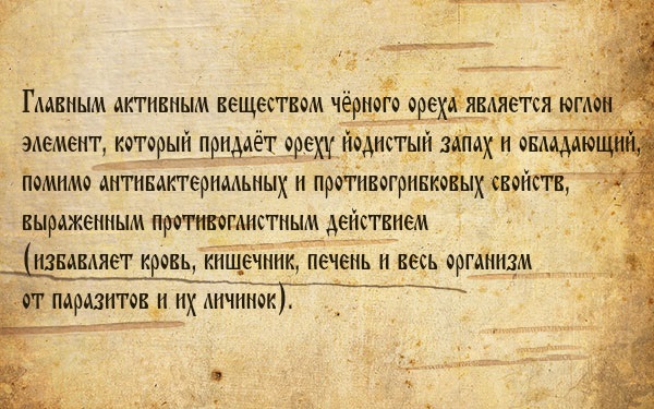 Черный орех. Полезные свойства настойки, экстракт, масло, листья. Применение народной медицине, как принимать, противопоказания