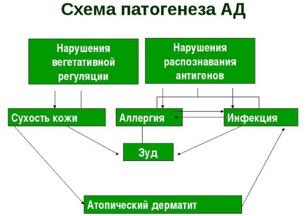 Лечение дерматита у взрослых и детей. Мази, кремы, народные средства