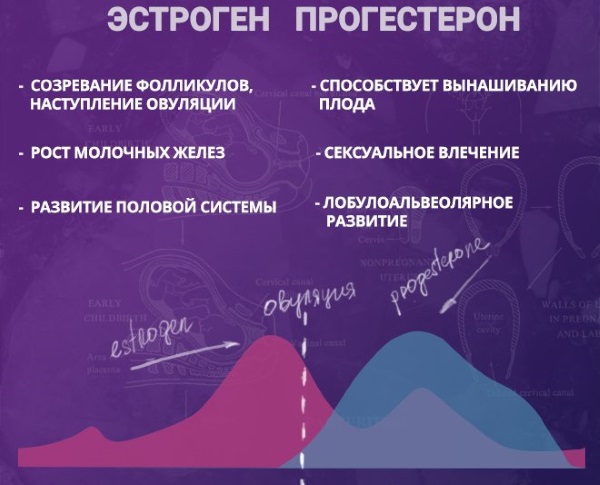 Гиперэстрогения у женщин. Симптомы, причины и лечение