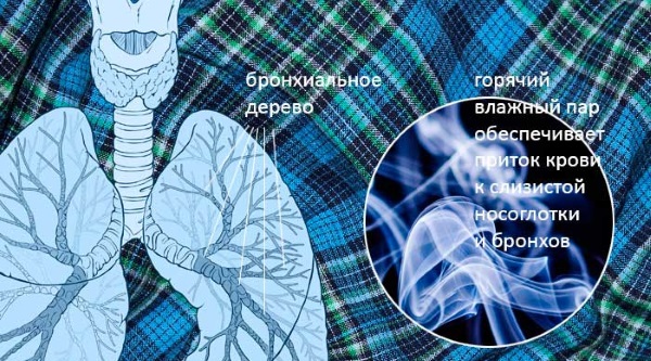 Лечение горла у ребенка, взрослого быстро и эффективно. Народные средства, лекарства