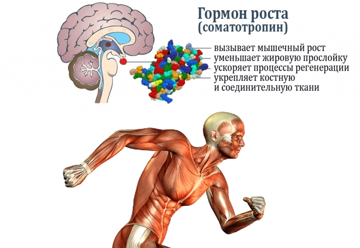 Нормы роста у девушек подростков. Средний в России, таблица по возрасту. Причины и лечение отставания в развитии