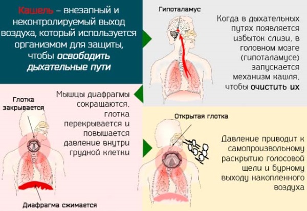 Стоптуссин от кашля. Инструкция по применению, цена, аналоги, отзывы