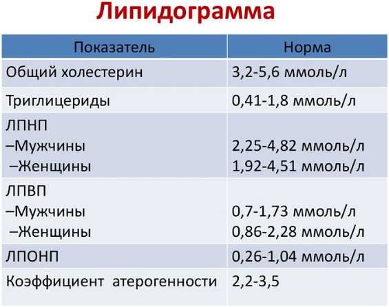 Триглицериды повышены. Что это значит, норма в крови. Строение, функция, простые и смешанные, уровень в анализе