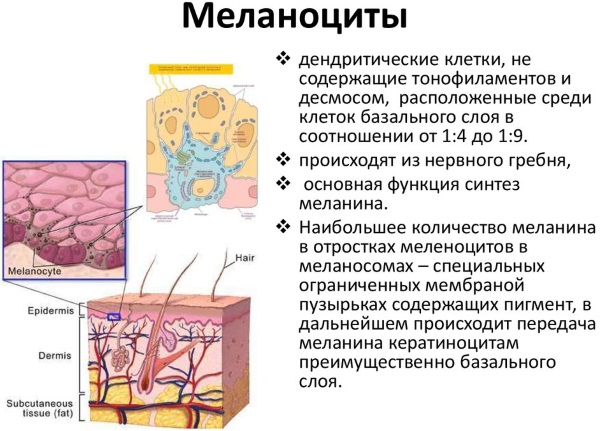 Белые пятна на коже после загара. Что это и как лечить. Таблетки, народные средства, витамины