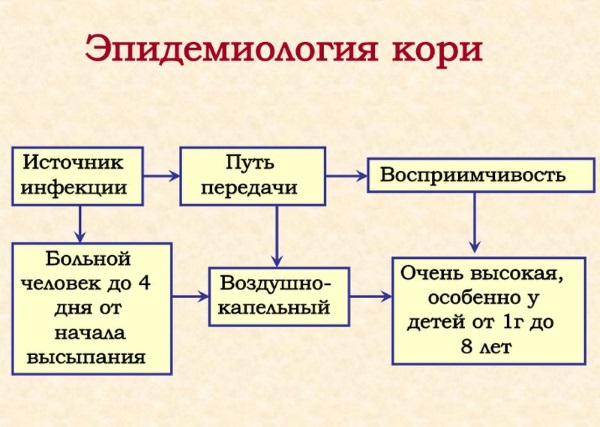 Корь фото у взрослых начальная стадия