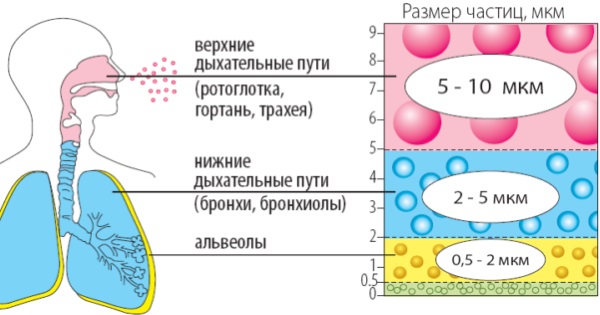 Как вылечить кашель затяжной, сухой, мокрый народными средствами у взрослых и детей