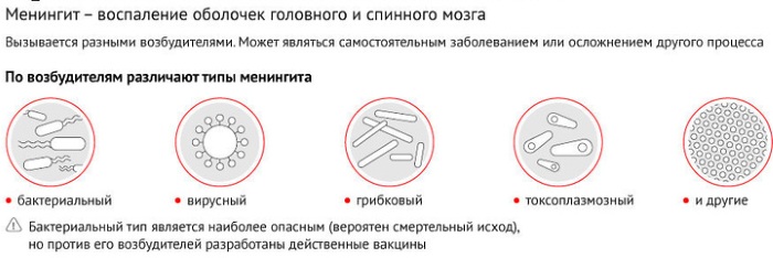 Менингит. Симптомы у взрослых, как распознать, признаки, причины возникновение, анализы, лечение