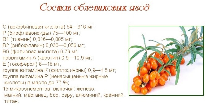 Облепиха. Лечебные свойства. Рецепты применения и противопоказания