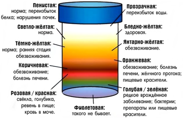 Проблемы с почками, симптомы у женщин, мужчин. Признаки на лице, к какому врачу обратиться, если плохие анализы