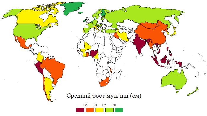 Что значит средний рост