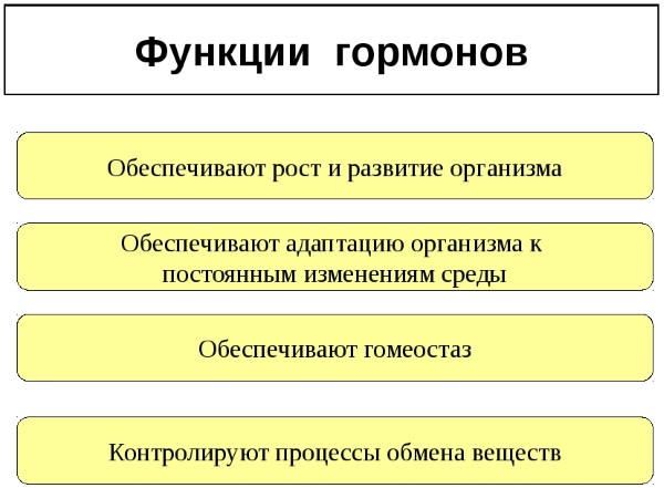 Анализы на гормоны у женщин. Какие, как сдавать, таблица, расшифровка