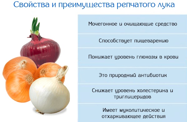 Частота дыхания (ЧДД) у взрослого человека в минуту. Норма после нагрузки, в состоянии покоя