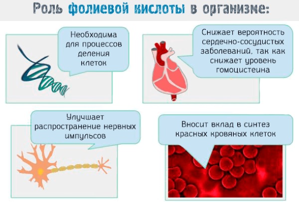 Гидроцефалия головного мозга у взрослых. Лечение, что такое заместительная, умеренная, внутренняя. Признаки