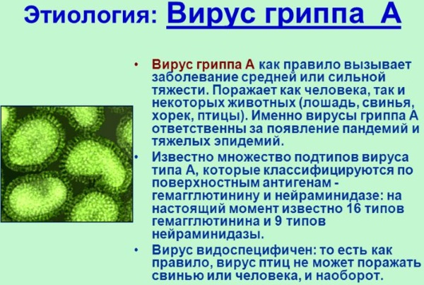 Ингавирин 90. Инструкция по применению, цена, аналоги, отзывы