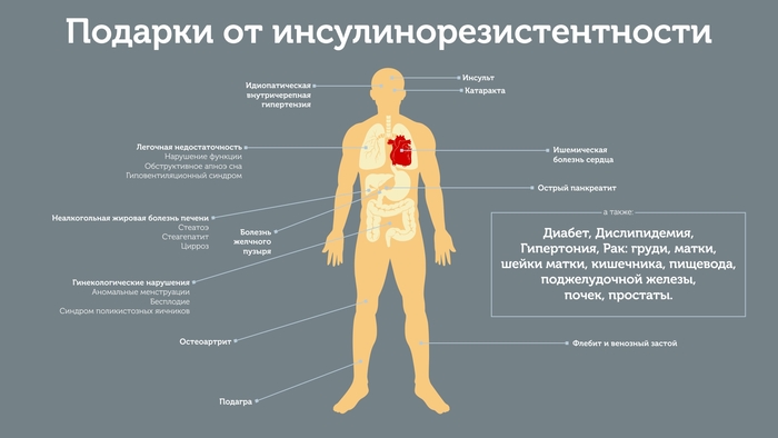 Инсулинорезистентность. Анализ на индекс, как сдавать, расшифровка, цена. Диета и лечение