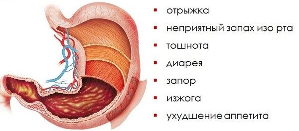 Как вылечит желудок народным способом