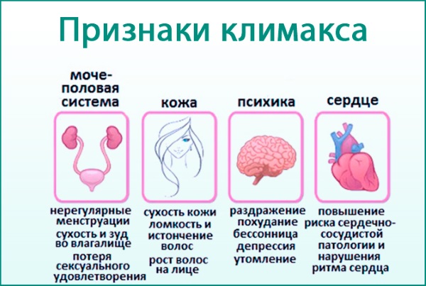 Месячные 2 раза в месяц. Причины после 40 лет, у подростков, после отмены Дюфастона, Постинора, при беременности