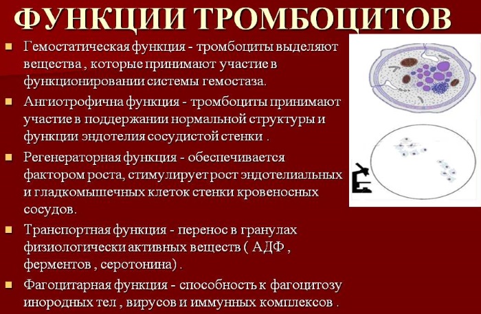 Низкие тромбоциты в крови. Причины и последствия у детей, взрослых, беременных. Лечение