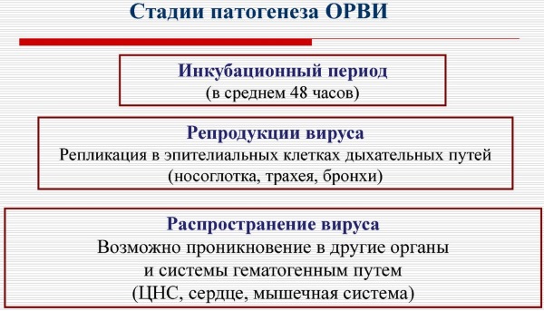 ОРВИ у детей. Симптомы и лечение, антибиотики, народные средства, рекомендации врачей