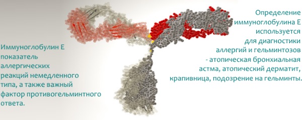 Покалывание в ногах как иголки. Причины, лечение народными средствами, препараты