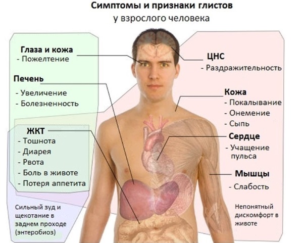 Акрихин. Инструкция по применению взрослым, цена