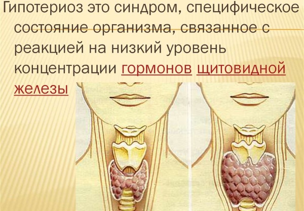 Спирулина. Полезные свойства для женщин, как принимать для похудения, в косметологии, маски для лица