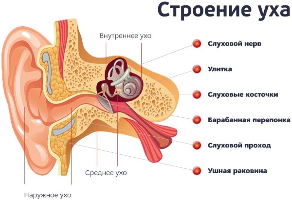 Стреляет в ухе с левой стороны. Причины и лечение, что делать, капли, компрессы, народные средства