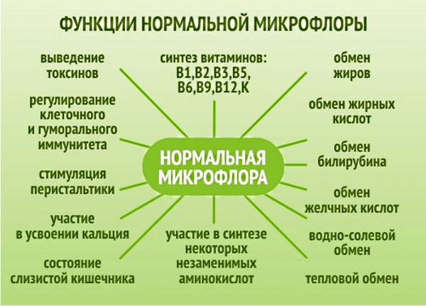 Тошнота после приема пищи. Причины, что означает, заболевания и лечение