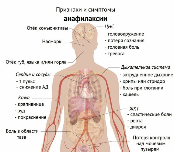 Вестибо. Инструкция по применению, цена, аналоги, отзывы