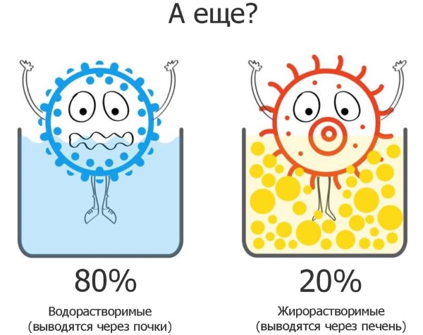 Выведение токсинов и шлаков из организма. Препараты, народные способы, рецепты очищения