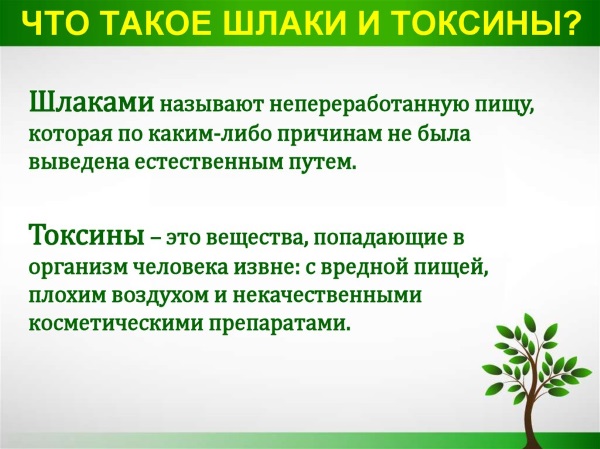 Выведение токсинов и шлаков из организма. Препараты, народные способы, рецепты очищения