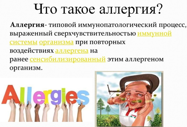 Аллергия на коже у взрослых. Фото, виды, как лечить волдыри, красные пятна, зуд. Мази, питание, травы