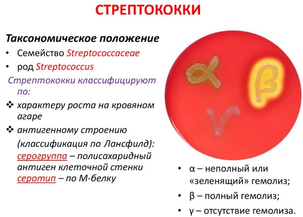 Амоксициллин. Инструкция по применению, дозировка взрослым, детям. Цена, аналоги