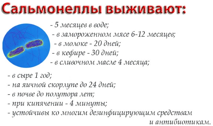 Амосин. Инструкция по применению, цена, аналоги, отзывы