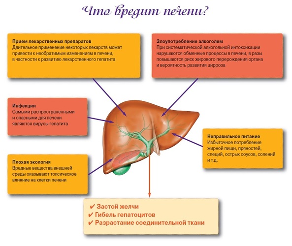 Ангиомы на теле у женщин. Причины появления, лечение и удаление