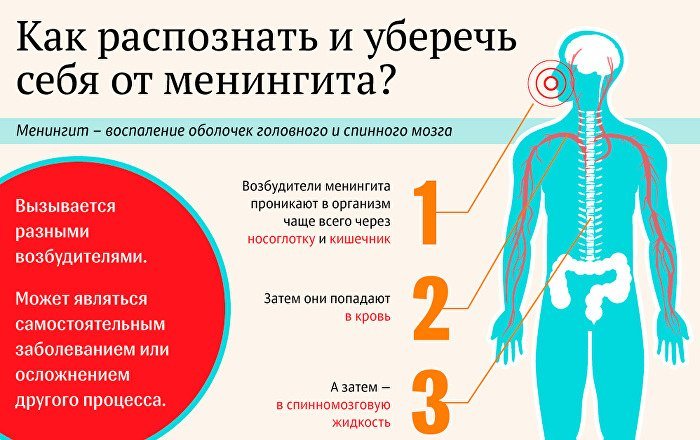 Болезни уха у взрослых. Симптомы и лечение народными средствами, капли, процедуры