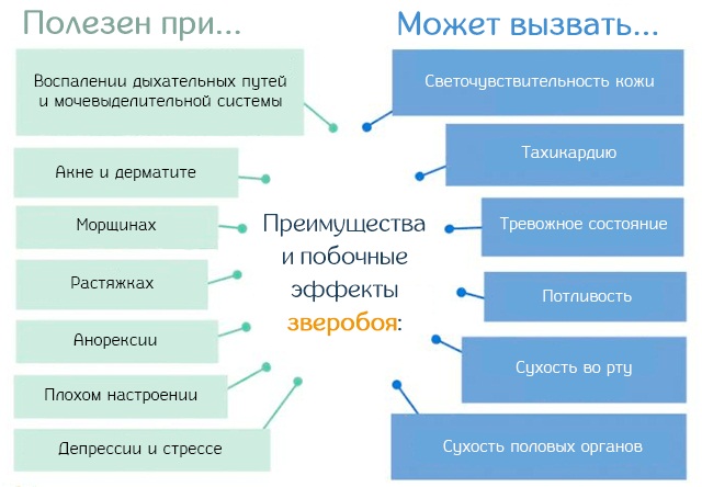 Бруснивер. Инструкция по применению сбор, чай, таблетки. Цена, аналоги