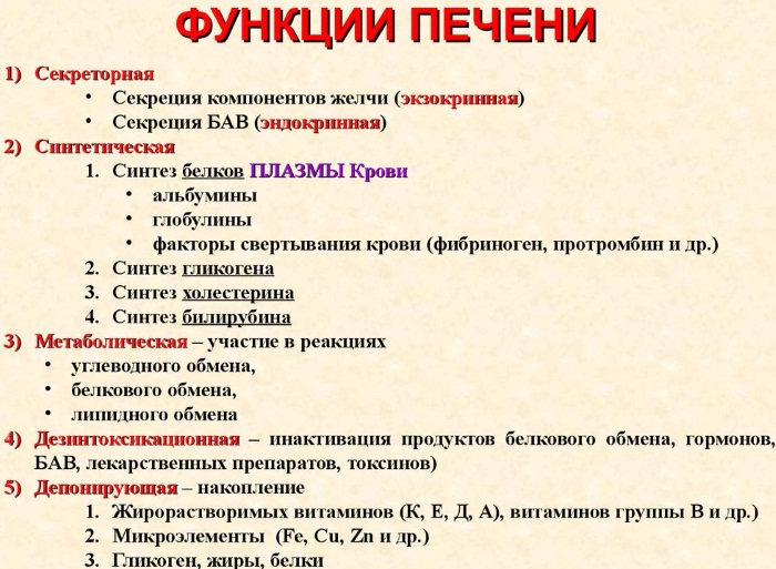 Физиология пищеварения человека кратко и понятно. Таблица органов и их функций