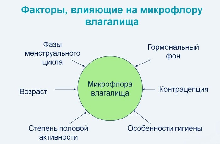 Гонококки в мазке у женщин. Что это такое, причины, симптомы и лечение