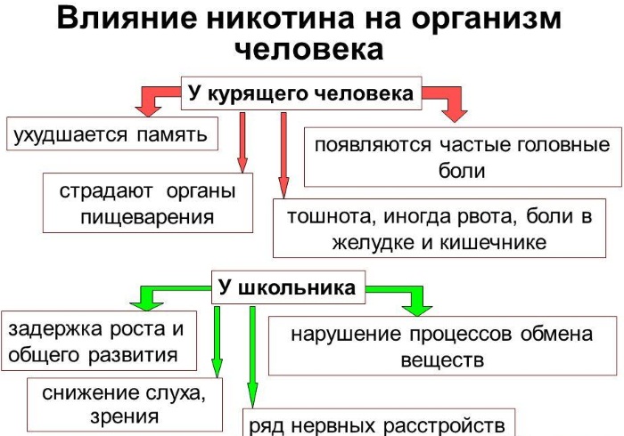 Кальян вреден для здоровья или нет для детей, взрослых. Мнение врачей