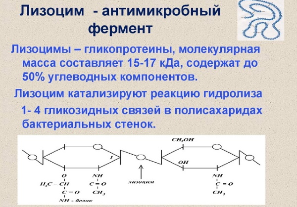 Кандидозы у женщин. Симптомы и лечение в гинекологии, во рту, кишечнике. Народные средства, препараты, диета