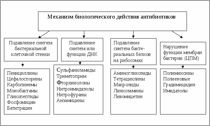 Противовоспалительные ушные капли для детей, взрослым. Недорогие с антибиотиком. Цены и отзывы