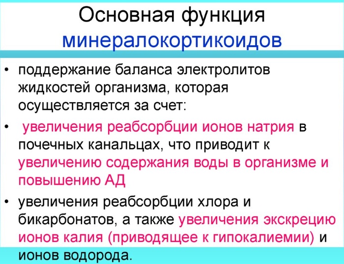 Кора надпочечников: гормоны и функции, механизм действия, анализы, лечение, препараты