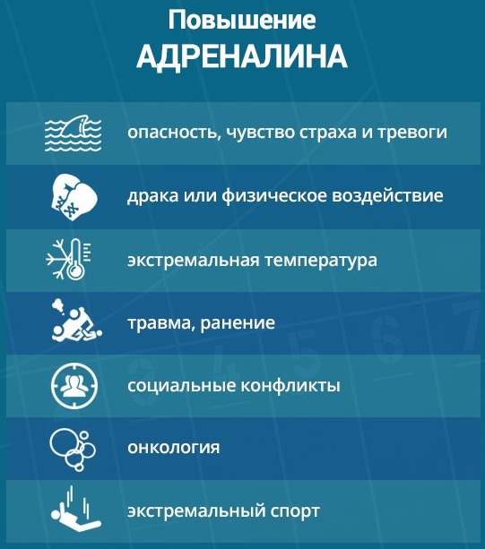 Кора надпочечников: гормоны и функции, механизм действия, анализы, лечение, препараты