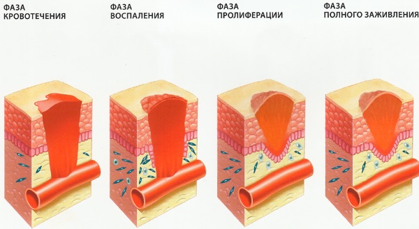 Мази для заживления ран и ссадин для детей на лице, с антибиотиком. Цены, отзывы