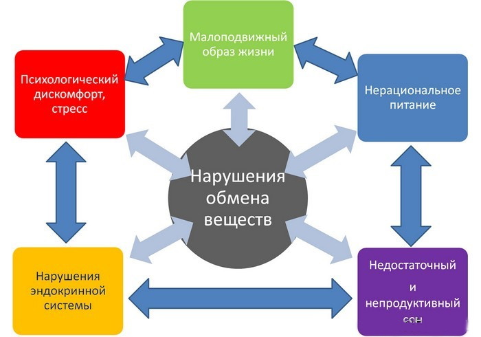 Нарушение обмена веществ. Симптомы у женщин, причины, лечение народными средствами, препараты, диета