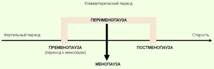 Предменопауза. Признаки и симптомы, кровотечение, причины, чем лечить