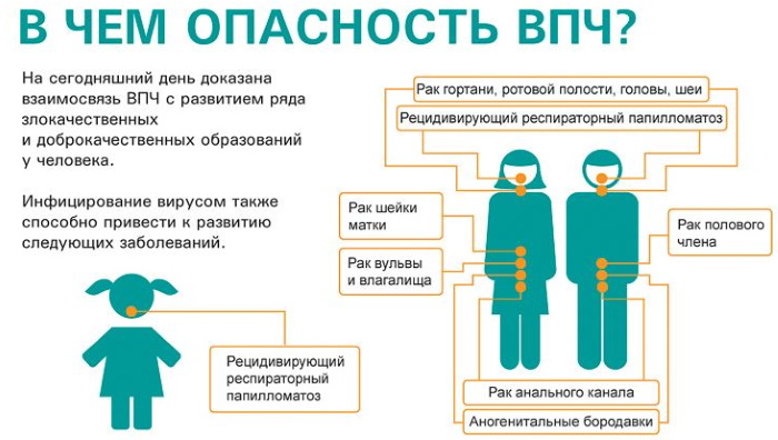 Прививка от папилломавируса (ВПЧ). До какого возраста женщинам, девочкам, мужчинам, мальчикам, как делается